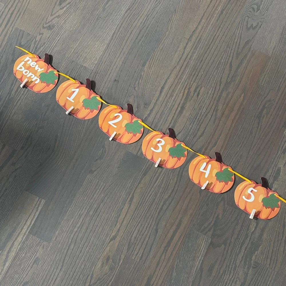 Pumpkin 1st Birthday Milestone Banner – Monthly Baby Photo Banner